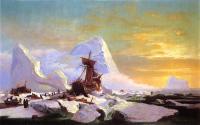 William Bradford